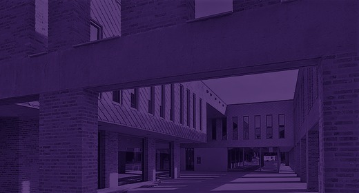 Gemeente Stein doet mee met Volontario